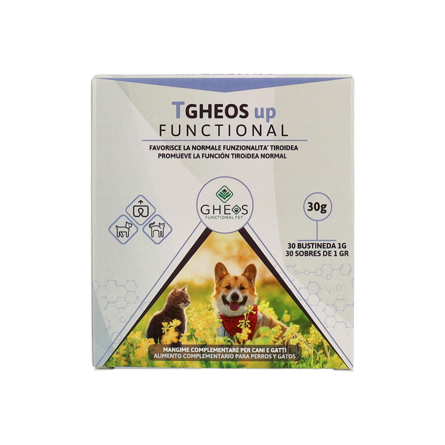 TGHEOS UP FUNCTIONAL 30 BUSTE