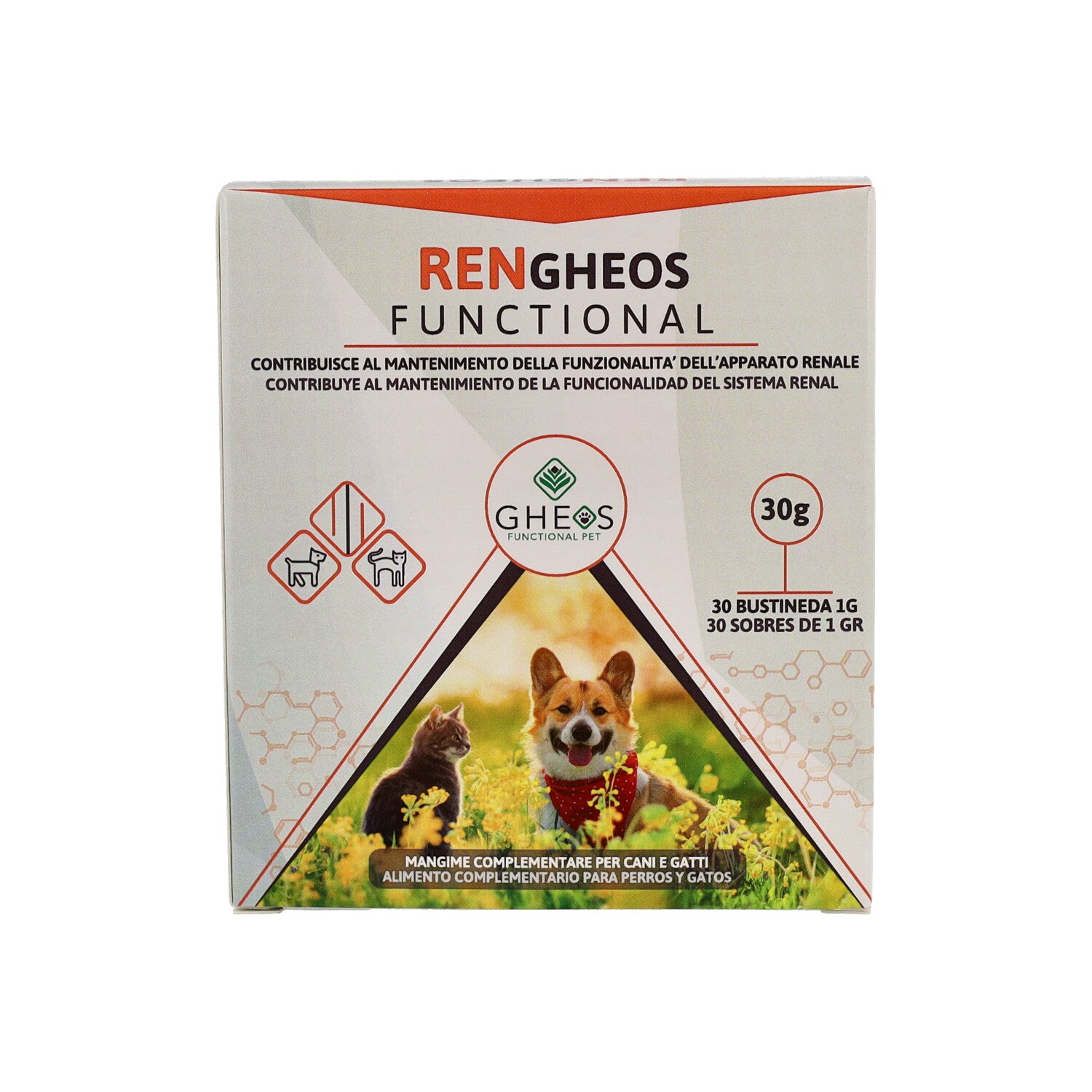 REN GHEOS FUNCTIONAL 30BUST