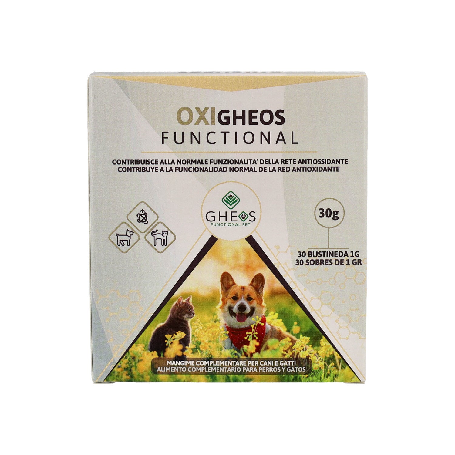 OXI GHEOS FUNCTIONAL 30BUST