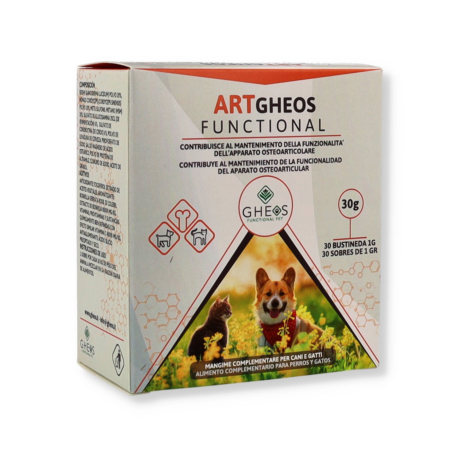 ART GHEOS FUNCTIONAL 30BUST