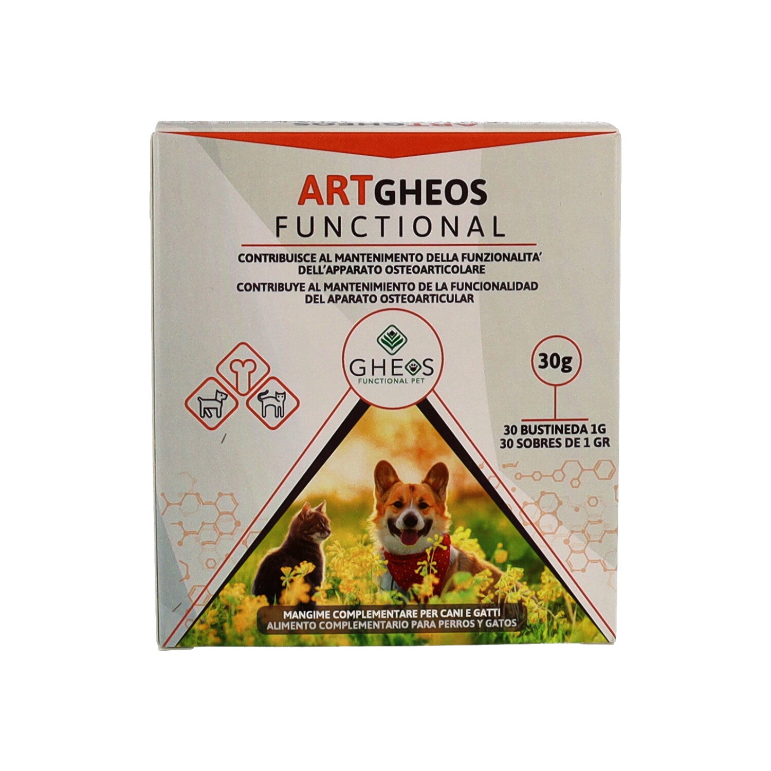 ART GHEOS FUNCTIONAL 30BUST