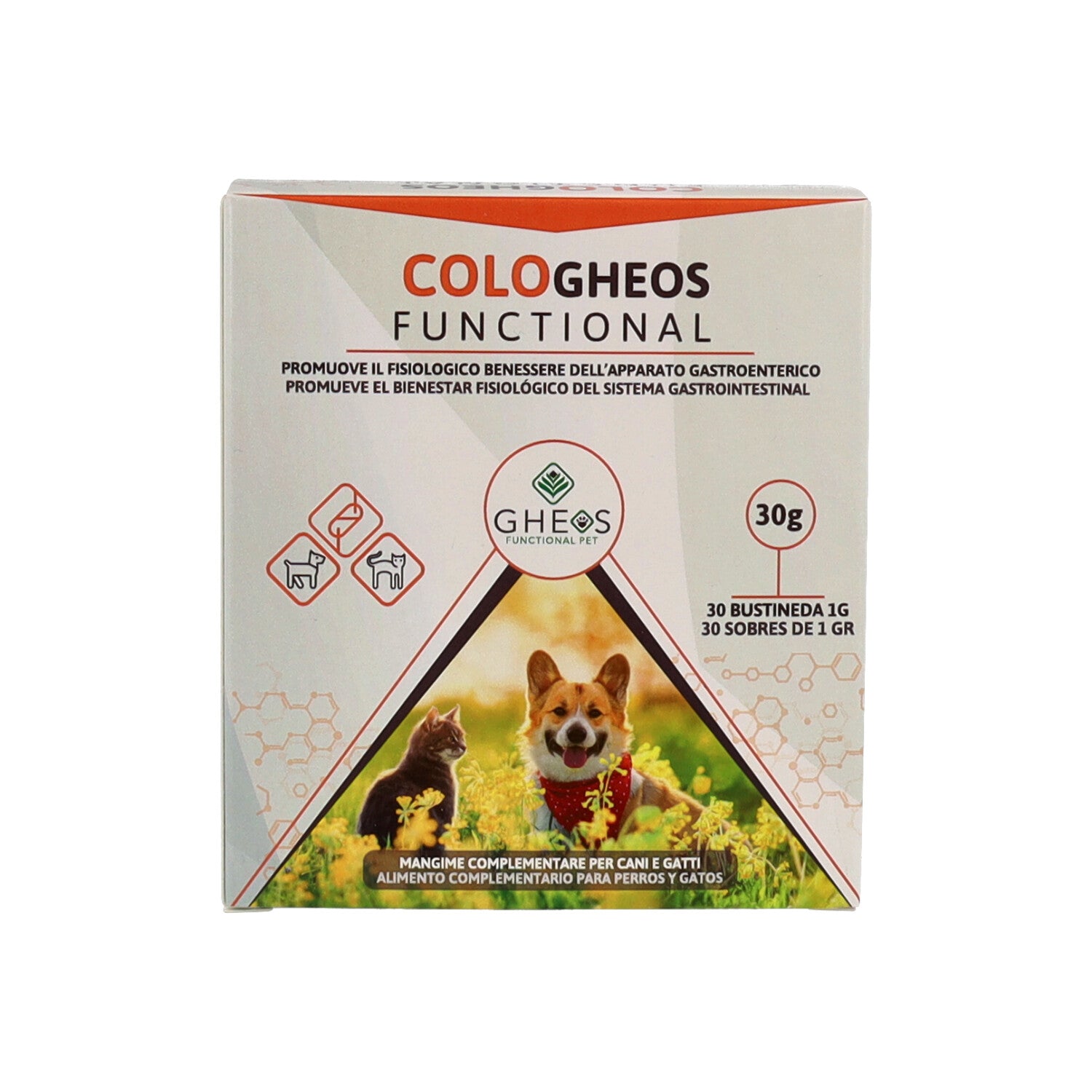 COLO GHEOS FUNCTIONAL 30BUST