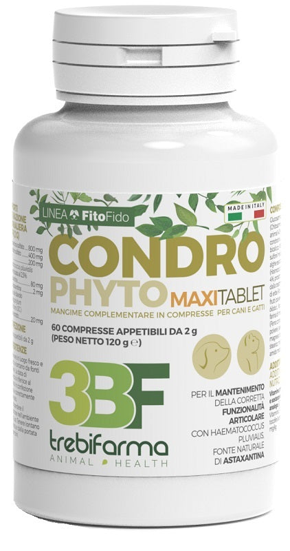CONDROPHYTO 60CPR 2G