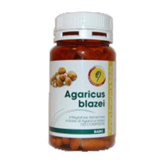 AGARICUS LINEA BASIC CPR