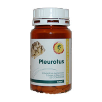 PLEUROTUS LINEA BASIC CPR