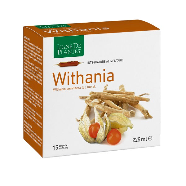WITHANIA 15AMPOLLE