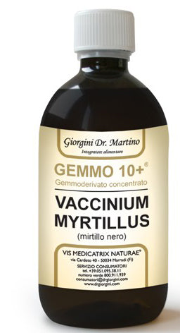 GEMMO 10+ MIRTILLO NERO 500ML