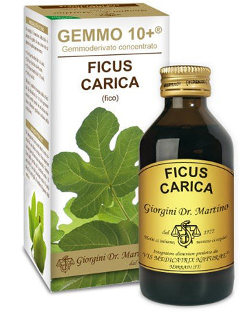 FICO LIQUIDO ANALCOLICO GEMMO10+ 100ML