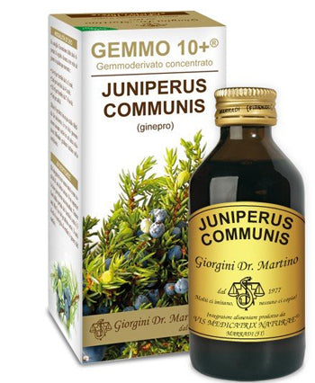 GINEPRO LIQUIDO ANALCOLICO GEMMO 10+ 100ML