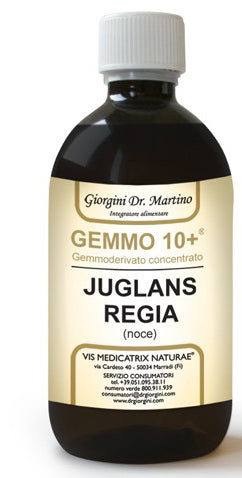 NOCE 500ML ANALCO GEMMO 10+