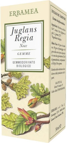 JUGLANS REGIA NOCE 50ML