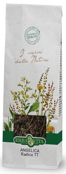 ANGELICA TT RADICE 100G