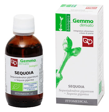 SEQUOIA MG 50ML