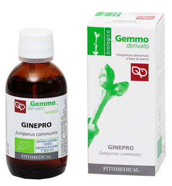 GINEPRO MG 50 ML