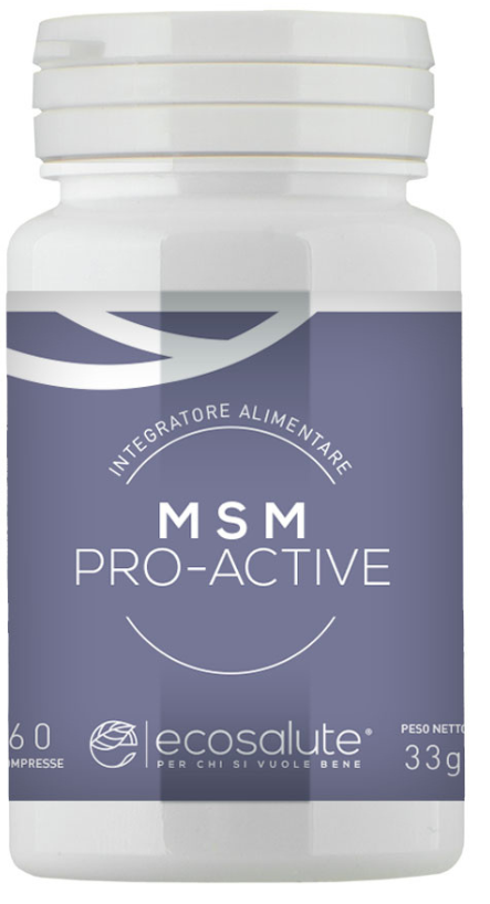 MSM PRO ACTIVE 60CPR