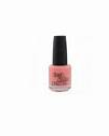 SMALTO UNGHIE NAIL POLISH 216
