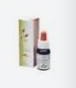 QUINTESSENZA ISSOPO ECOSOL GTT 10ML