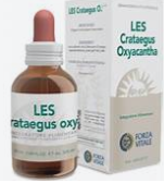 CRATAEGUS OXYACANTHA M.G. - 150 ML