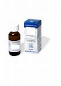 SALIX ALBA CORTECCIA MG - 60ML