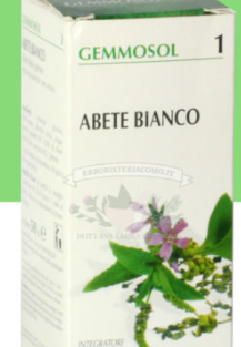 ABIES PECTINATA (ABETE BIANCO) E. I. - 50 ML