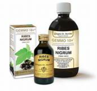RIBES NERO MG 1L