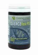 QUERCEFAST P53 60 CPS GASTRO