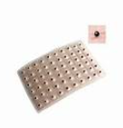 SEMI DI VACCARIA CON CEROTTINO