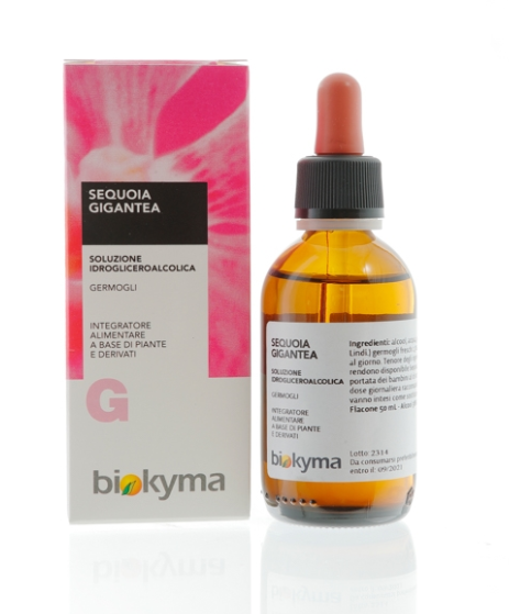 SEQUOIA GIGANTEA GERMOGLI MG 1L