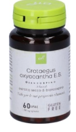 CRATAEGUS OXYCANTHA MACERATO GLICERICO