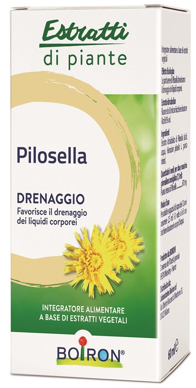 PILOSELLA EI 60ML
