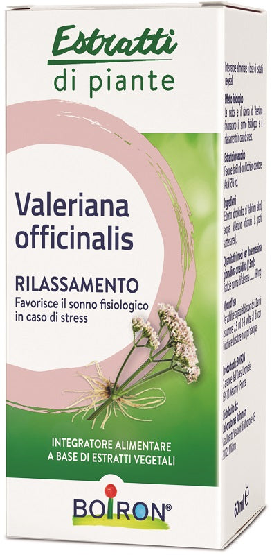 VALERIANA OFF EI 60ML INT