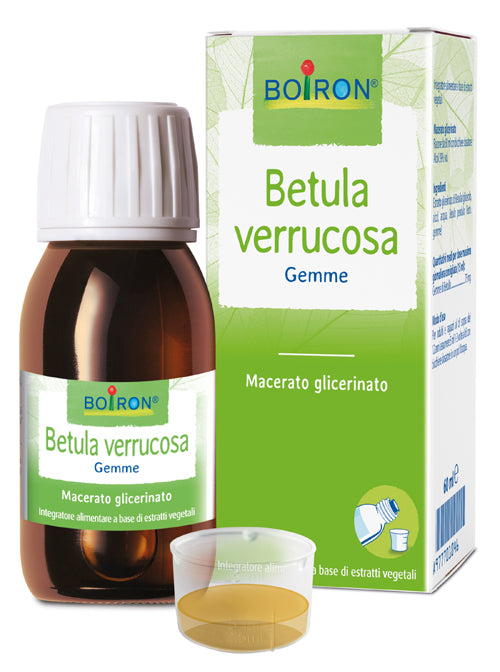 BETULA VERRUCO MG 60ML INT