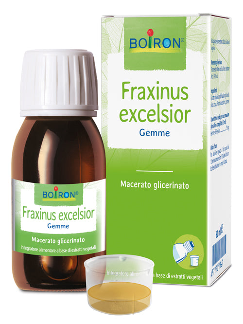 FRAXINUS EXCELSIOR MG 60ML INT