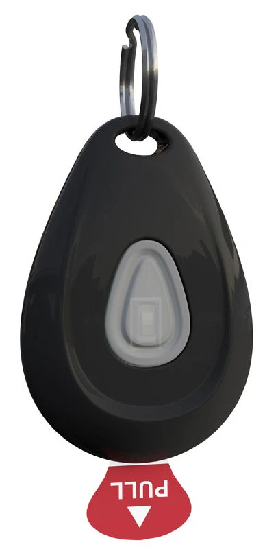 ZEROBUGS PET OVALE CAT NERO