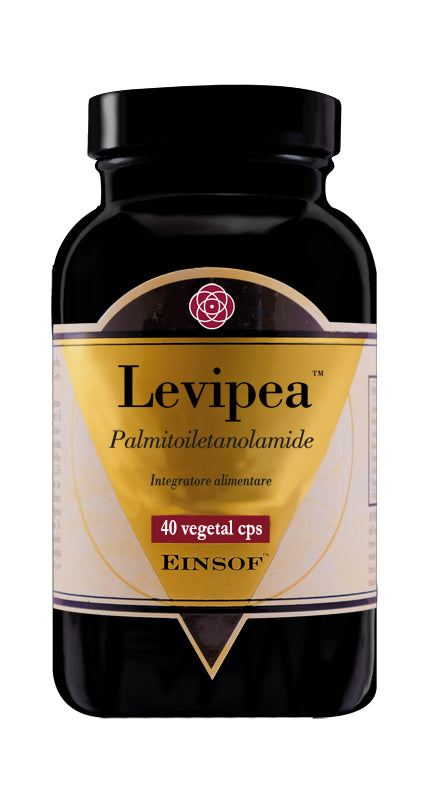 LEVIPEA EINSOF