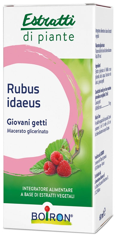 MACERATO GLICERINATO LAMPONE (Rubus ideaus)