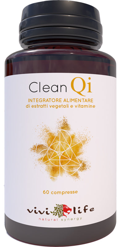 CLEAN QI