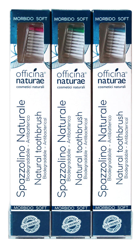 BOX 12 SPAZZOLINI SILVER