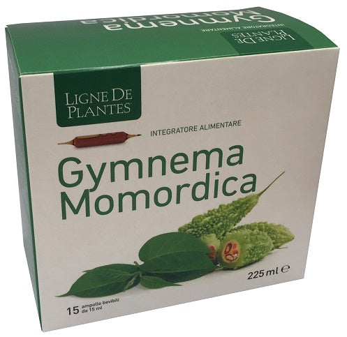 LIGNE GYMNEMA BIO 15AMP 15ML