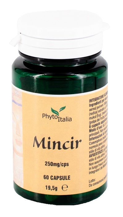 MINCEUR AYURVED 60CPS