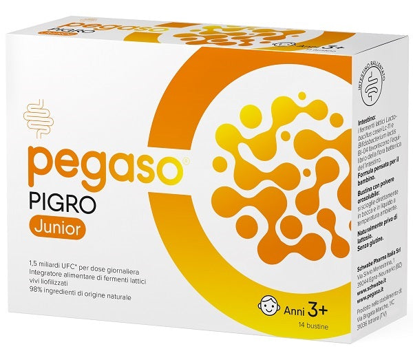 PEGASO PIGRO JUNIOR 14BUST