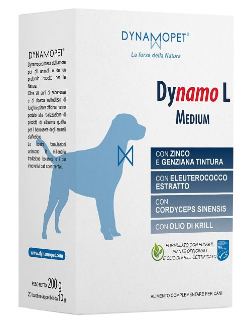 DYNAMO L MEDIUM 20 BUSTINE 10G