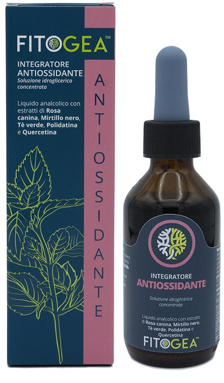 FITOGEA ANTIOSSIDANTE 100ML