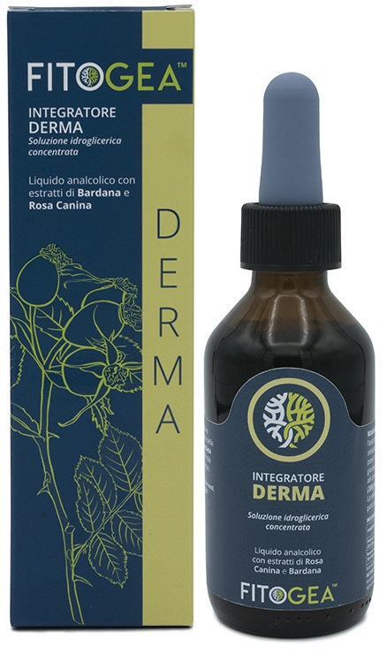 FITOGEA DERMA 100ML