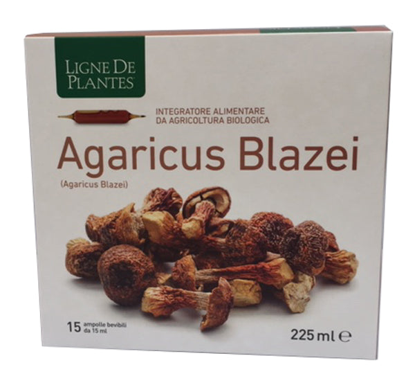 AGARICUS BLAZEI BIO 15AMP 15ML