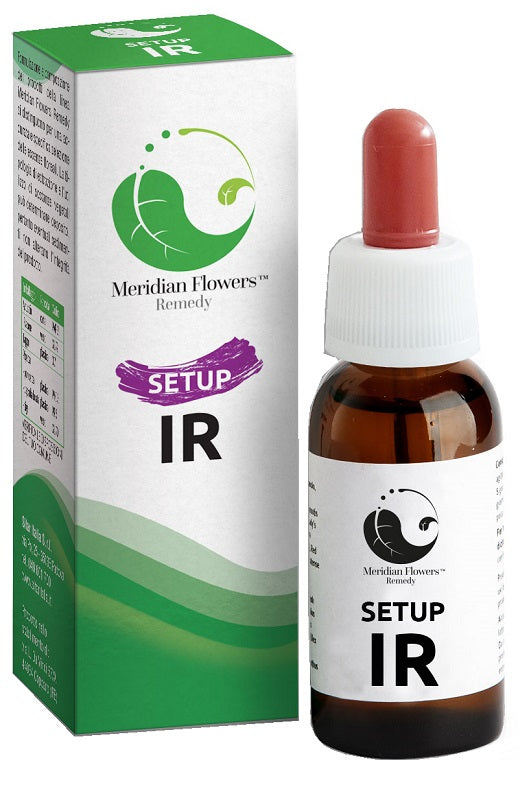 SETUP IR MERIDIAN FLOWERS REM