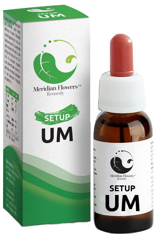 SETUP UM MERIDIAN FLOWERS REM