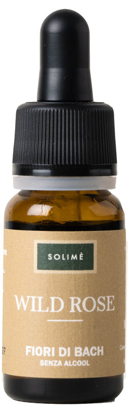 WILD ROSE 10ML