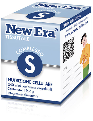 NEW ERA S 240GR