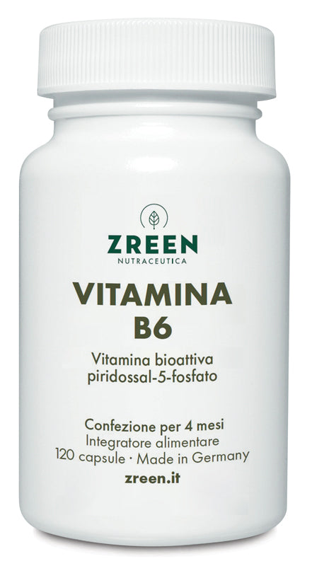 ZREEN VITAMINA B6 120 CAPSULE